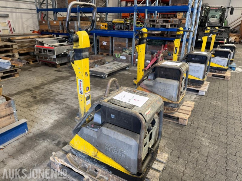 2 stk Wacker Neuson DPU Vibroplate 490 kg - Wals: afbeelding 1 2 stk Wacker Neuson DPU Vibroplate 490 kg - Wals: afbeelding 1