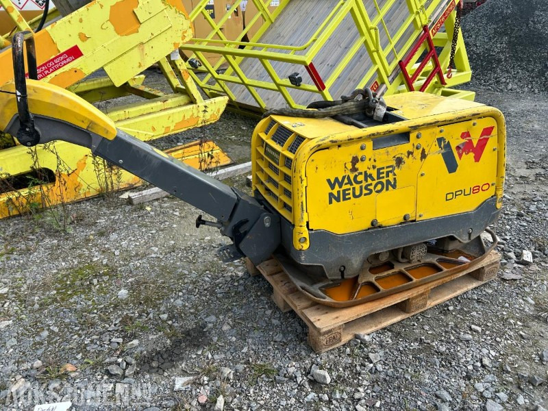2021 Wacker Neuson DPU 80 vibroplate - Wals: afbeelding 1 2021 Wacker Neuson DPU 80 vibroplate - Wals: afbeelding 1
