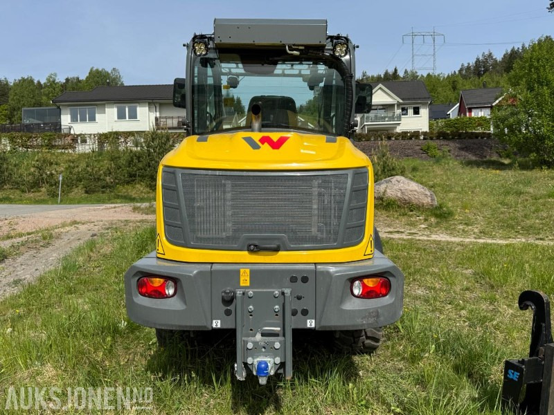 2023 Wacker Neuson WL70 hjullaster / Skuffe / Pallegafler - Wiellader: afbeelding 5 2023 Wacker Neuson WL70 hjullaster / Skuffe / Pallegafler - Wiellader: afbeelding 5