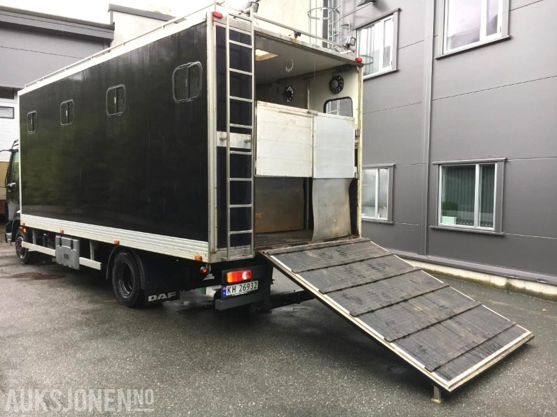 2004 DAF LF 45.220 - Hestebil / Transportbil, 202552km - Gemeentelijke machine/ Speciaal: afbeelding 2 2004 DAF LF 45.220 - Hestebil / Transportbil, 202552km - Gemeentelijke machine/ Speciaal: afbeelding 2