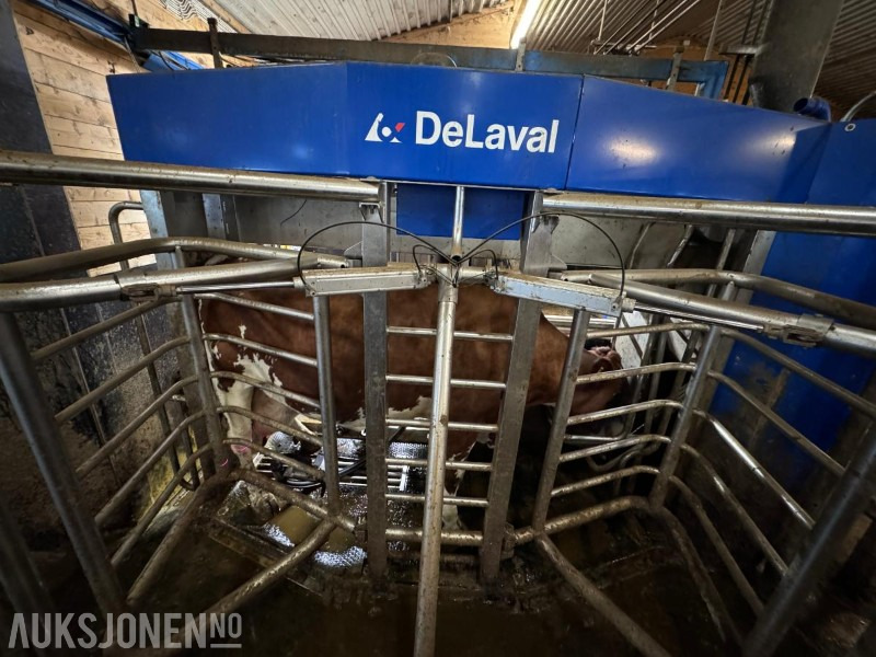 2013 DeLaval VMS melkerobot med 1 kraftfôrstasjon FSC40 - Høyre utgave - Steam - Innredning og grinder foran - Vakuumpumpe - Fortsatt i daglig drift - Landbouwmachine: afbeelding 5 2013 DeLaval VMS melkerobot med 1 kraftfôrstasjon FSC40 - Høyre utgave - Steam - Innredning og grinder foran - Vakuumpumpe - Fortsatt i daglig drift - Landbouwmachine: afbeelding 5