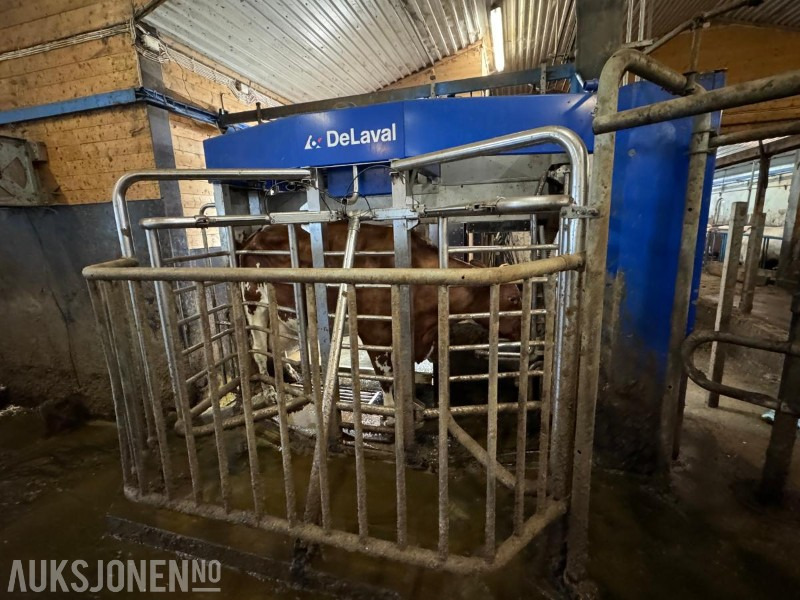 2013 DeLaval VMS melkerobot med 1 kraftfôrstasjon FSC40 - Høyre utgave - Steam - Innredning og grinder foran - Vakuumpumpe - Fortsatt i daglig drift - Landbouwmachine: afbeelding 4 2013 DeLaval VMS melkerobot med 1 kraftfôrstasjon FSC40 - Høyre utgave - Steam - Innredning og grinder foran - Vakuumpumpe - Fortsatt i daglig drift - Landbouwmachine: afbeelding 4