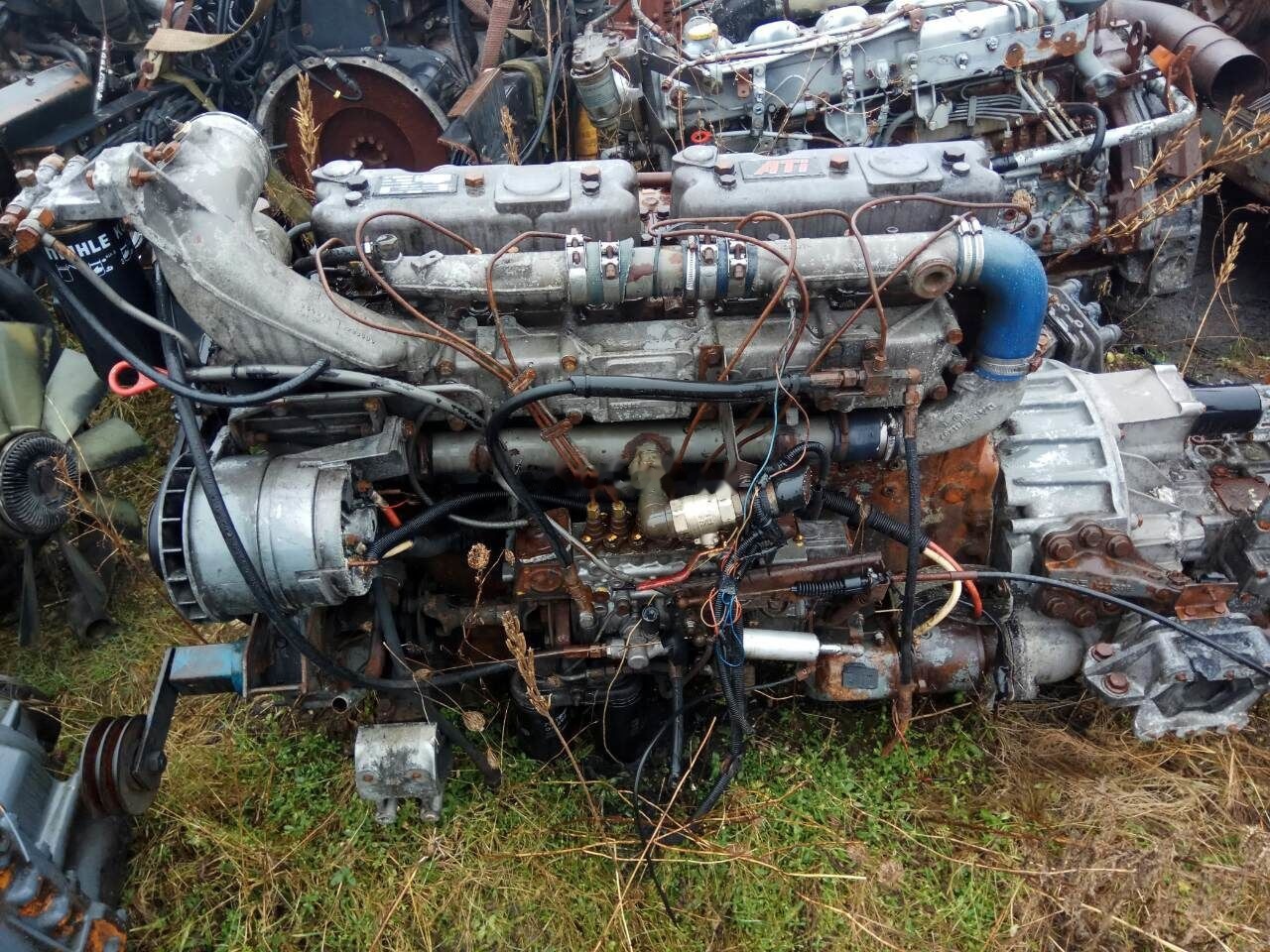 DAF ATI WS315M DAF 95 - Motor voor Vrachtwagen: afbeelding 1 DAF ATI WS315M DAF 95 - Motor voor Vrachtwagen: afbeelding 1