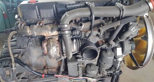 DAF MX13460 DAF truck - Motor voor Vrachtwagen: afbeelding 1 DAF MX13460 DAF truck - Motor voor Vrachtwagen: afbeelding 1