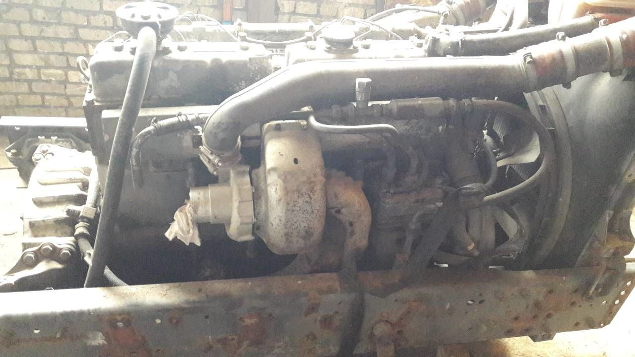 DAF WS 268 G DAF 95, 85 - Motor voor Vrachtwagen: afbeelding 2 DAF WS 268 G DAF 95, 85 - Motor voor Vrachtwagen: afbeelding 2