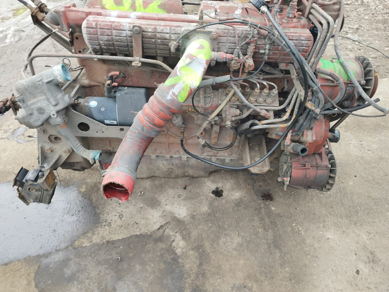 IVECO 8460.41M.70 IVECO MAGIRUS, FIAT, UNIC - Motor voor Bus: afbeelding 2 IVECO 8460.41M.70 IVECO MAGIRUS, FIAT, UNIC - Motor voor Bus: afbeelding 2