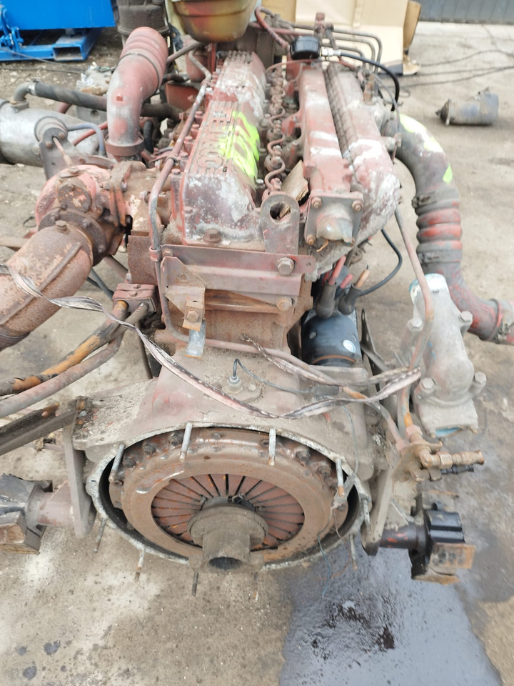 IVECO 8460.41M.70 IVECO MAGIRUS, FIAT, UNIC - Motor voor Bus: afbeelding 5 IVECO 8460.41M.70 IVECO MAGIRUS, FIAT, UNIC - Motor voor Bus: afbeelding 5