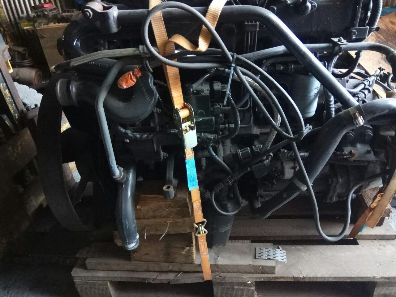MAN D0834 LFL01 MAN TGL - Motor voor Vrachtwagen: afbeelding 2 MAN D0834 LFL01 MAN TGL - Motor voor Vrachtwagen: afbeelding 2