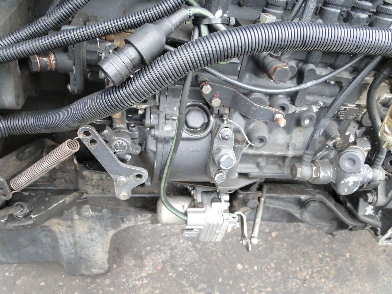 MAN D2865 LF05 MAN F90, F2000 - Motor voor Vrachtwagen: afbeelding 1 MAN D2865 LF05 MAN F90, F2000 - Motor voor Vrachtwagen: afbeelding 1