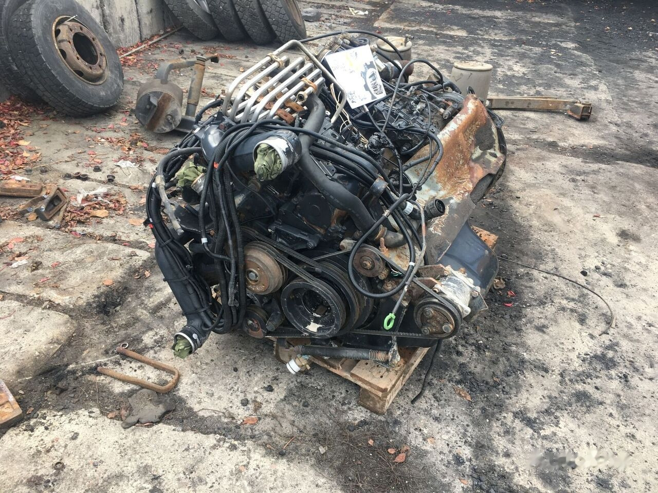 MAN D2876 LF06 MAN TGA, F2000, E2000 - Motor voor Vrachtwagen: afbeelding 5 MAN D2876 LF06 MAN TGA, F2000, E2000 - Motor voor Vrachtwagen: afbeelding 5