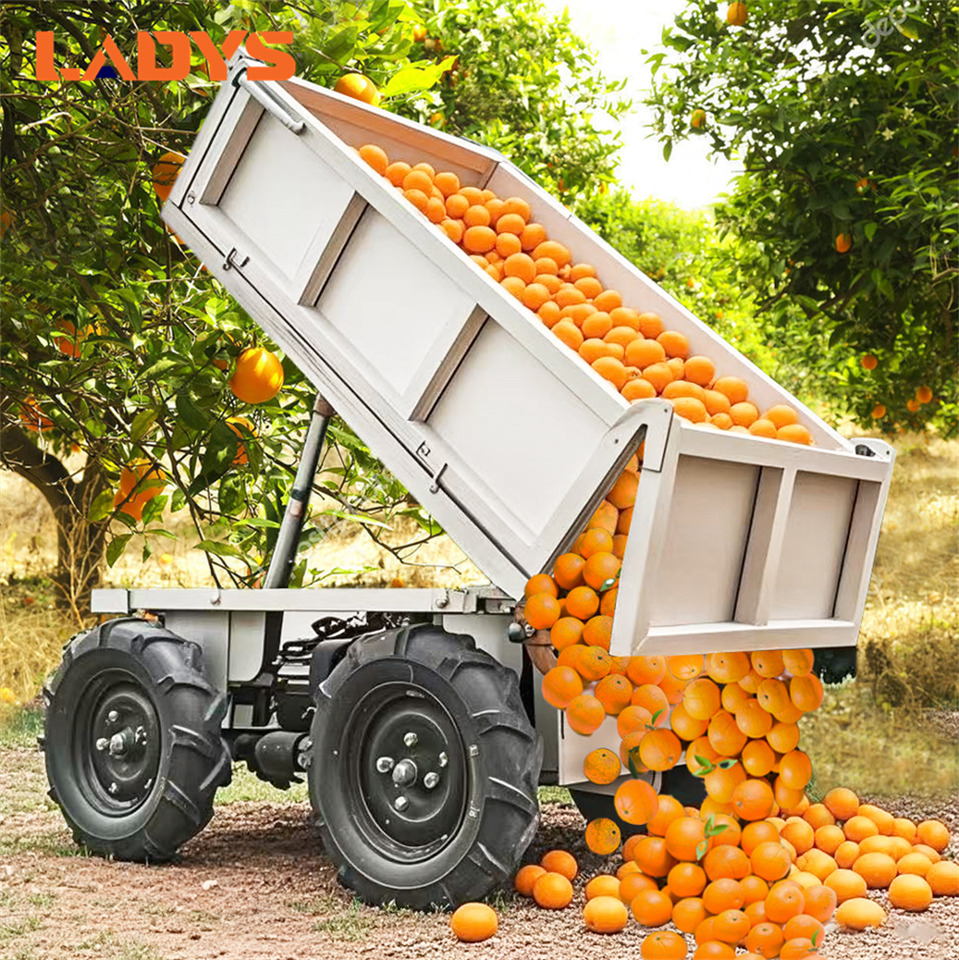 LADYS D-600 All-Terrain Four-Wheel Drive And Eight-Wheel Drive Transport Truck, Mountain Area Farm Orchard Greenhouse Construction Site Creeper Remote Control Electric Agricultural Transport Vehicle - Quad: afbeelding 1 LADYS D-600 All-Terrain Four-Wheel Drive And Eight-Wheel Drive Transport Truck, Mountain Area Farm Orchard Greenhouse Construction Site Creeper Remote Control Electric Agricultural Transport Vehicle - Quad: afbeelding 1