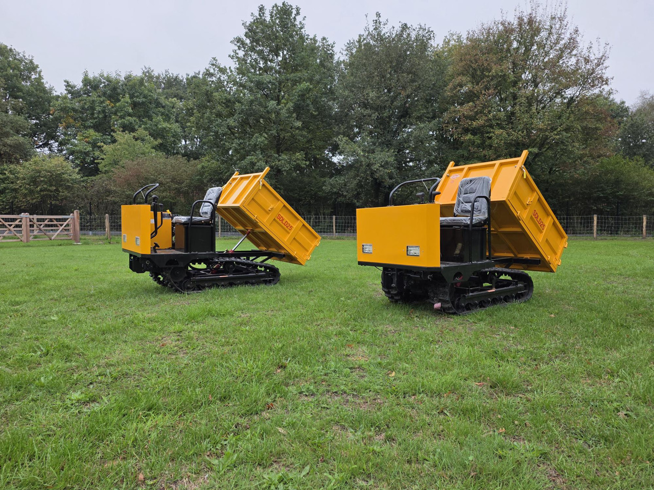 Sdlool sdld 25 mini dumper - Kiepwagen: afbeelding 1 Sdlool sdld 25 mini dumper - Kiepwagen: afbeelding 1