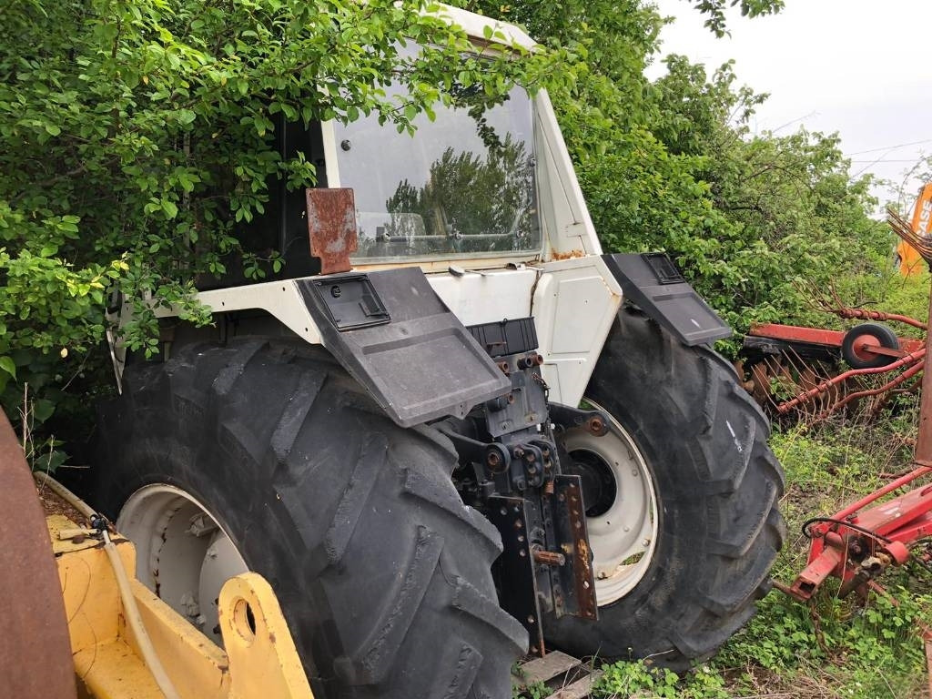 Lamborghini For Parts 1556 DT  - Tractor: afbeelding 2 Lamborghini For Parts 1556 DT  - Tractor: afbeelding 2