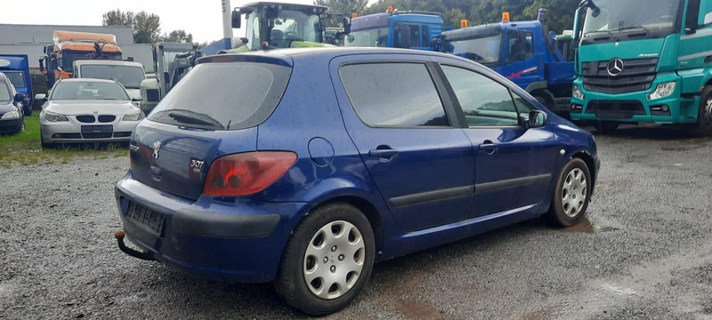 Peugeot 307 Grand Filou - Hatchback: afbeelding 3 Peugeot 307 Grand Filou - Hatchback: afbeelding 3