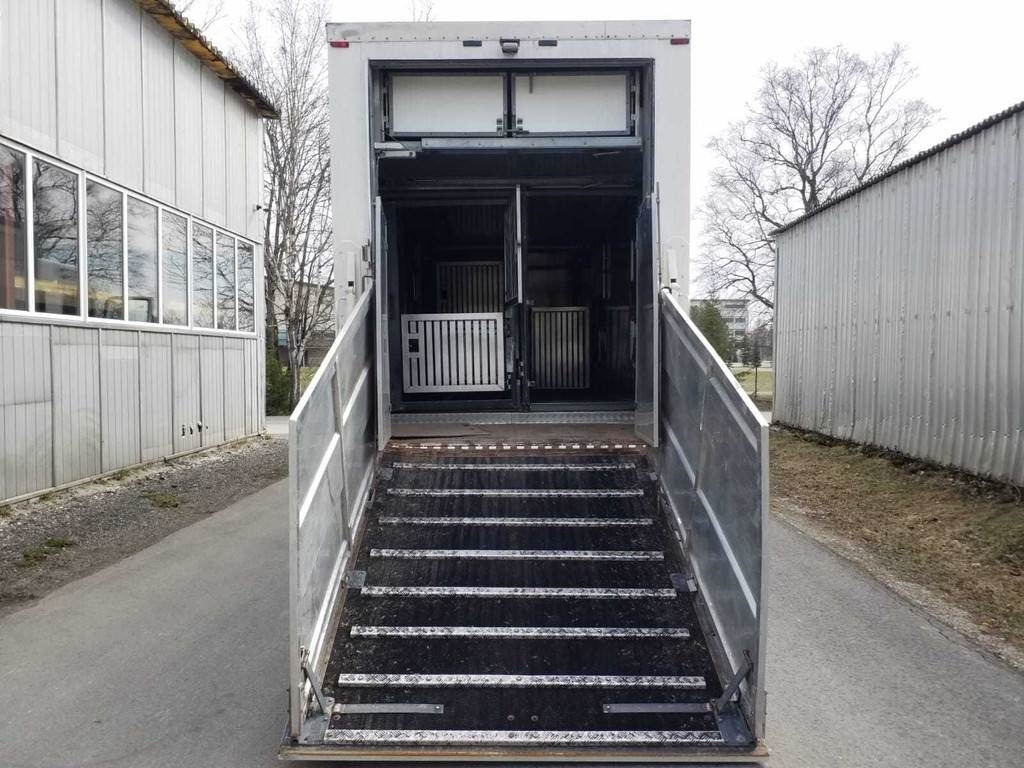 Veewagen vrachtwagen MAN TGX 35.540 8X4 TRIDEM ANIMAL: afbeelding 6