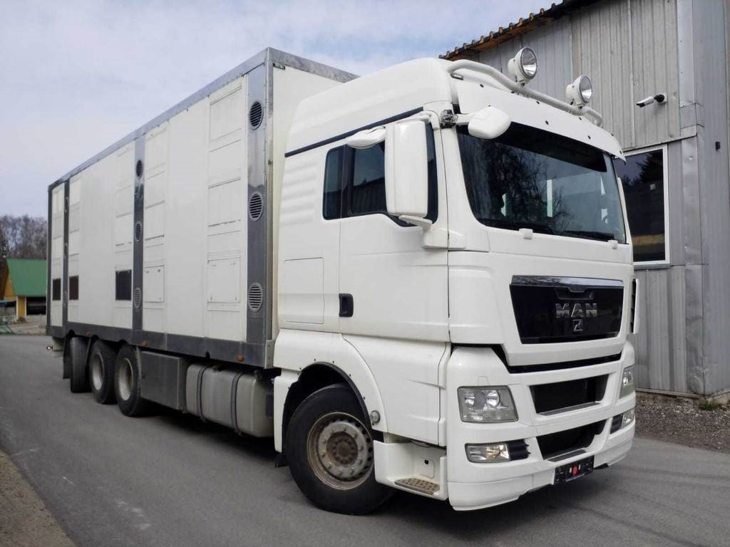 MAN TGX 35.540 8X4 TRIDEM ANIMAL - Veewagen vrachtwagen: afbeelding 4 MAN TGX 35.540 8X4 TRIDEM ANIMAL - Veewagen vrachtwagen: afbeelding 4