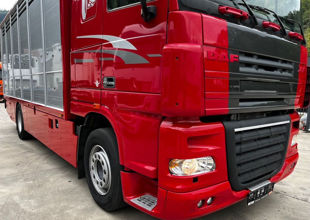 DAF XF 105.460 Euro 5 // Manual // Retarder // Do Żywca / Bydła / Zwierząt / - Veewagen vrachtwagen: afbeelding 3 DAF XF 105.460 Euro 5 // Manual // Retarder // Do Żywca / Bydła / Zwierząt / - Veewagen vrachtwagen: afbeelding 3
