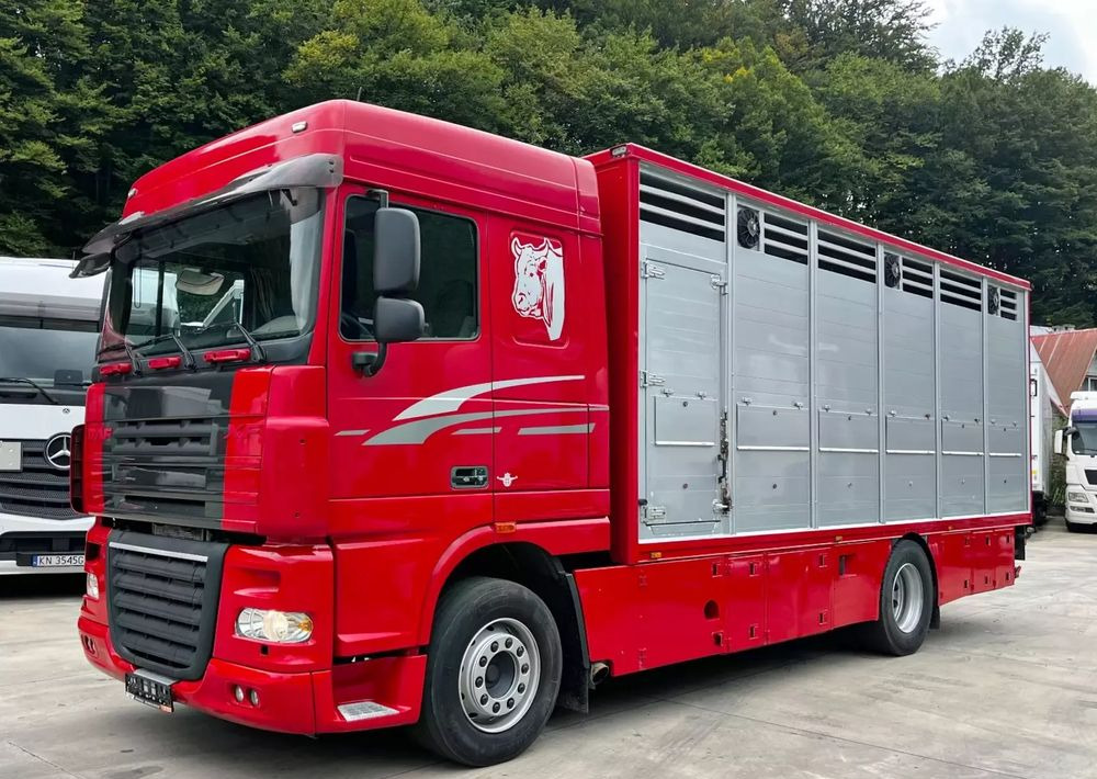 DAF XF 105.460 Euro 5 // Manual // Retarder // Do Żywca / Bydła / Zwierząt / - Veewagen vrachtwagen: afbeelding 1 DAF XF 105.460 Euro 5 // Manual // Retarder // Do Żywca / Bydła / Zwierząt / - Veewagen vrachtwagen: afbeelding 1