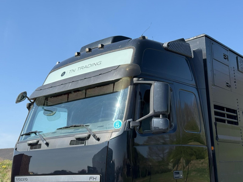 Volvo FH 13.540 STEERING, RETARDER, DOUBLE FLOOR, LIVE STOCK. - Veewagen vrachtwagen: afbeelding 5 Volvo FH 13.540 STEERING, RETARDER, DOUBLE FLOOR, LIVE STOCK. - Veewagen vrachtwagen: afbeelding 5