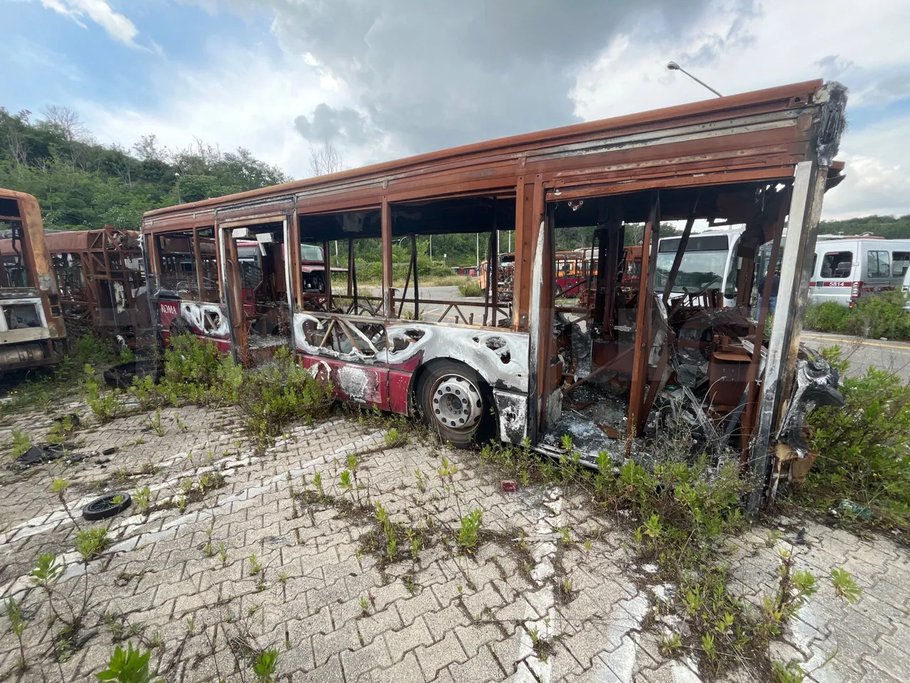 Bundle di 7 mezzi Iveco - Citelis Iveco - Citelis Iveco - Citelis Iveco - Citelis Iveco - Citelis Iveco - Citelis Iveco - Citelis - Stadsbus: afbeelding 3 Bundle di 7 mezzi Iveco - Citelis Iveco - Citelis Iveco - Citelis Iveco - Citelis Iveco - Citelis Iveco - Citelis Iveco - Citelis - Stadsbus: afbeelding 3