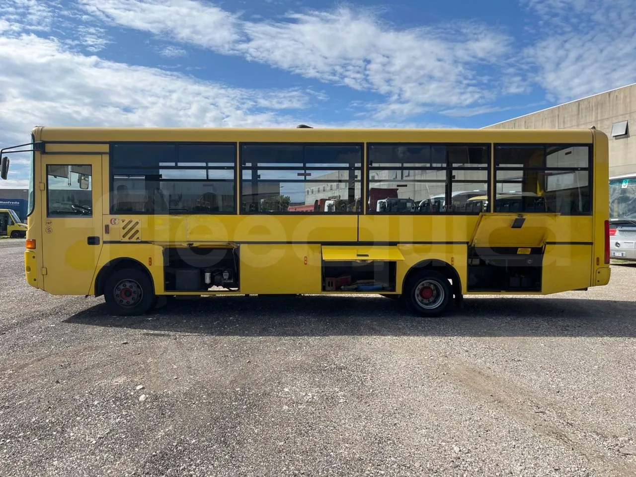 Schoolbus Iveco Cacciamali: afbeelding 7