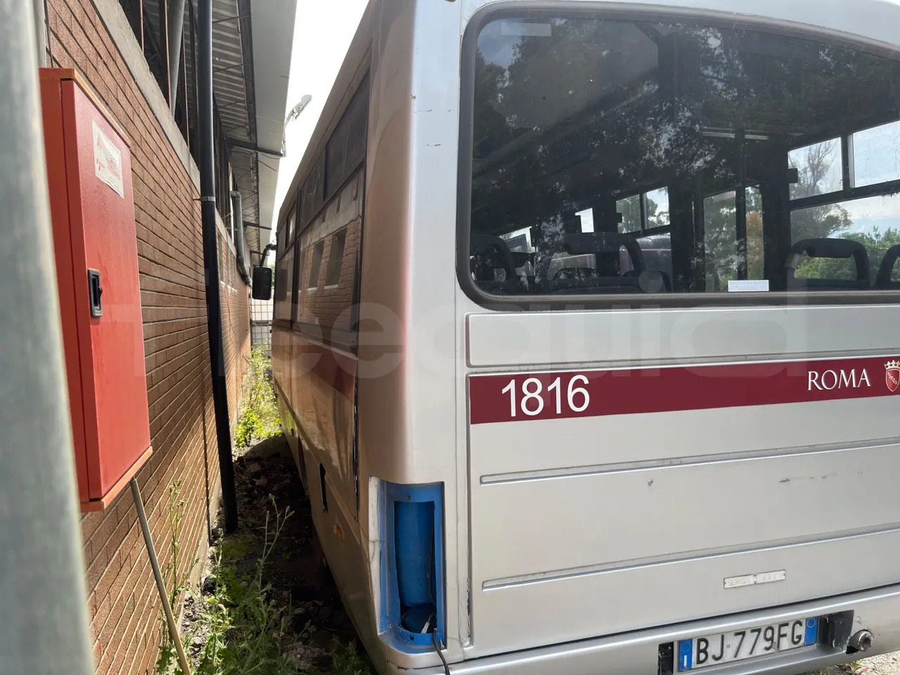 Iveco Cacciamali - Schoolbus: afbeelding 4 Iveco Cacciamali - Schoolbus: afbeelding 4