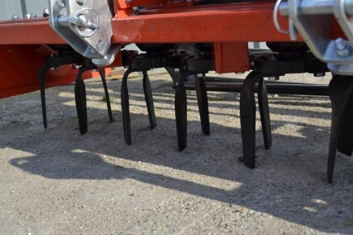 - - - boxer - Eg: afbeelding 4 - - - boxer - Eg: afbeelding 4