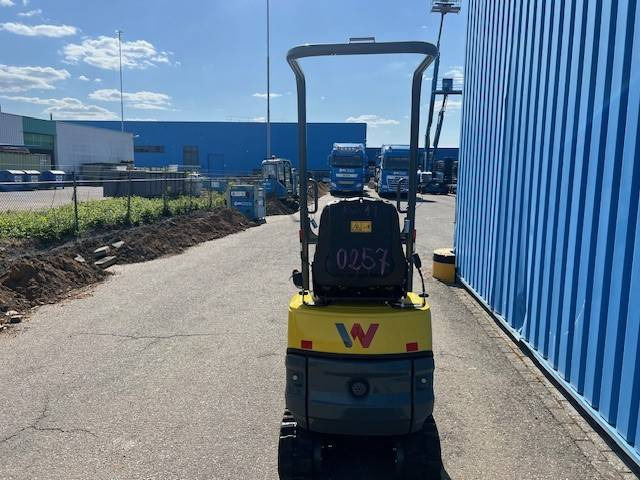 WACKER NEUSON 803 | 2024 - Minigraafmachine: afbeelding 4 WACKER NEUSON 803 | 2024 - Minigraafmachine: afbeelding 4