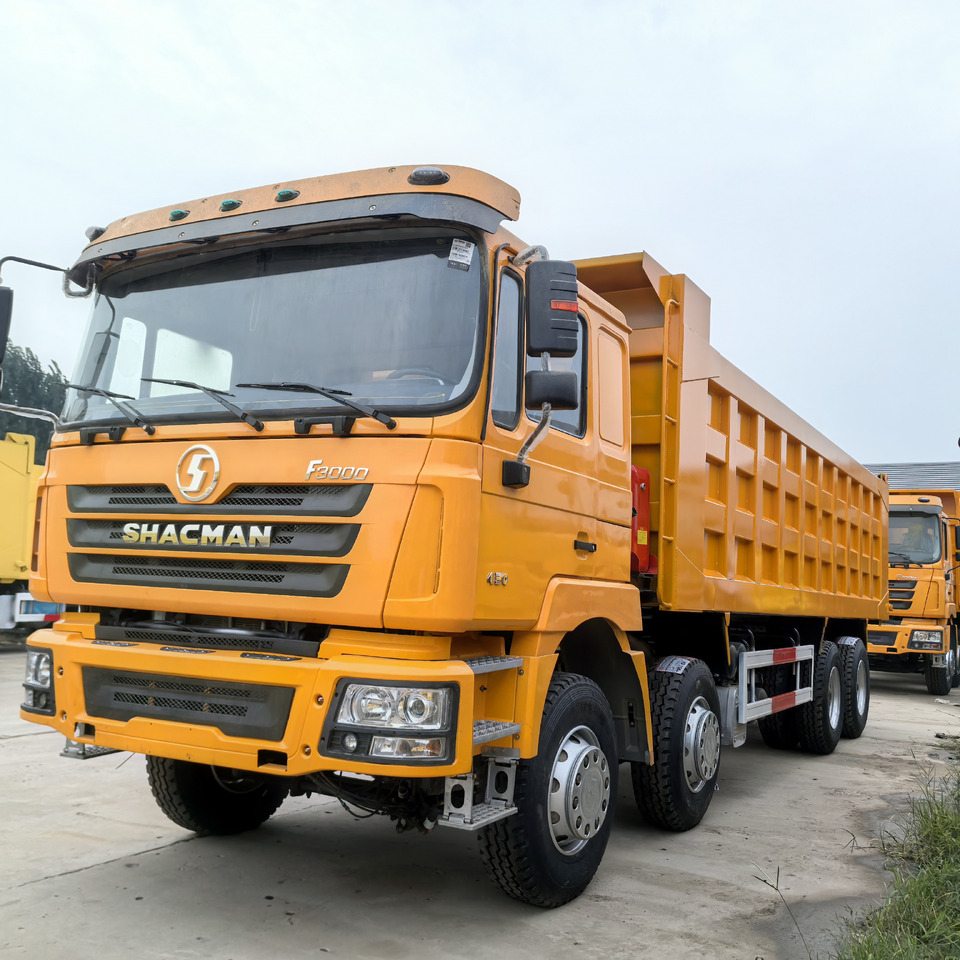 SHACMAN - Kipper vrachtwagen: afbeelding 2 SHACMAN - Kipper vrachtwagen: afbeelding 2
