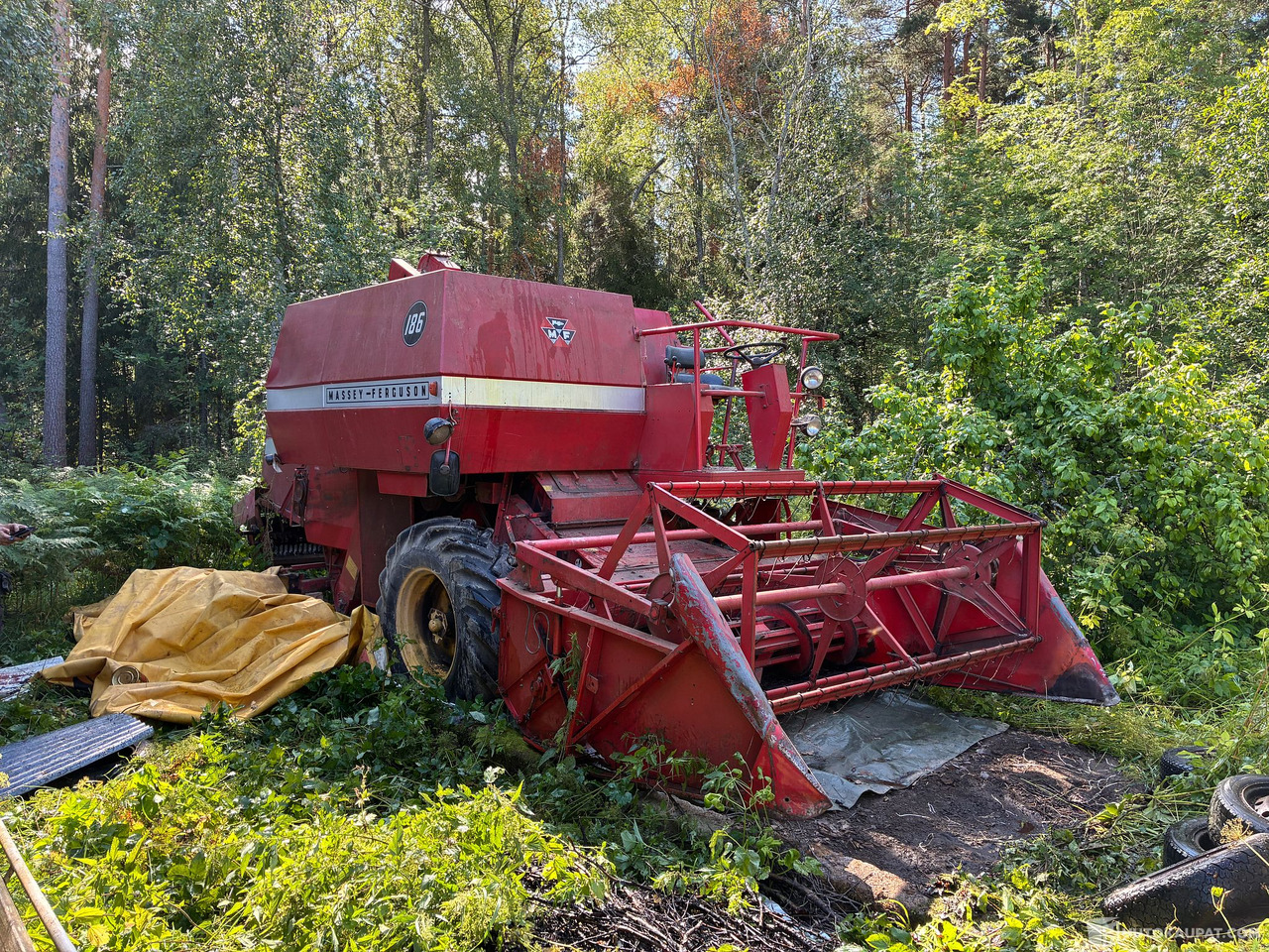 Massey Ferguson 186 Leikkuupuimuri, Kangasala - Landbouwmachine: afbeelding 1 Massey Ferguson 186 Leikkuupuimuri, Kangasala - Landbouwmachine: afbeelding 1