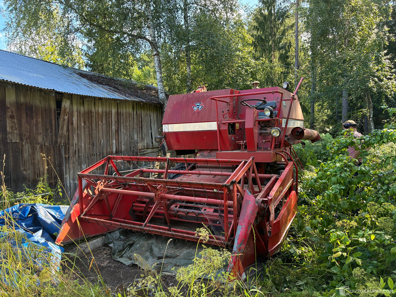 Massey Ferguson 186 Leikkuupuimuri, Kangasala - Landbouwmachine: afbeelding 2 Massey Ferguson 186 Leikkuupuimuri, Kangasala - Landbouwmachine: afbeelding 2