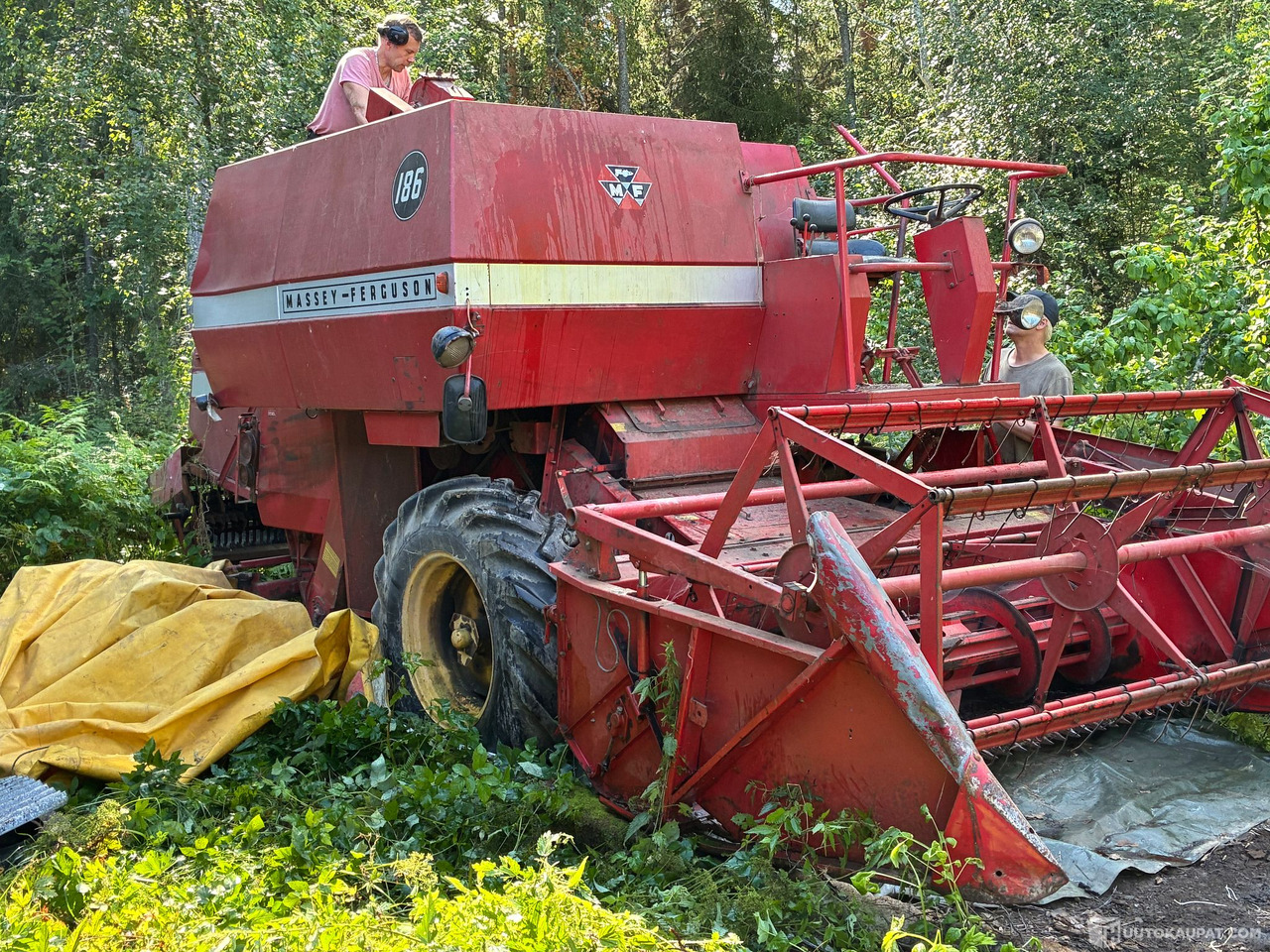 Massey Ferguson 186 Leikkuupuimuri, Kangasala - Landbouwmachine: afbeelding 3 Massey Ferguson 186 Leikkuupuimuri, Kangasala - Landbouwmachine: afbeelding 3