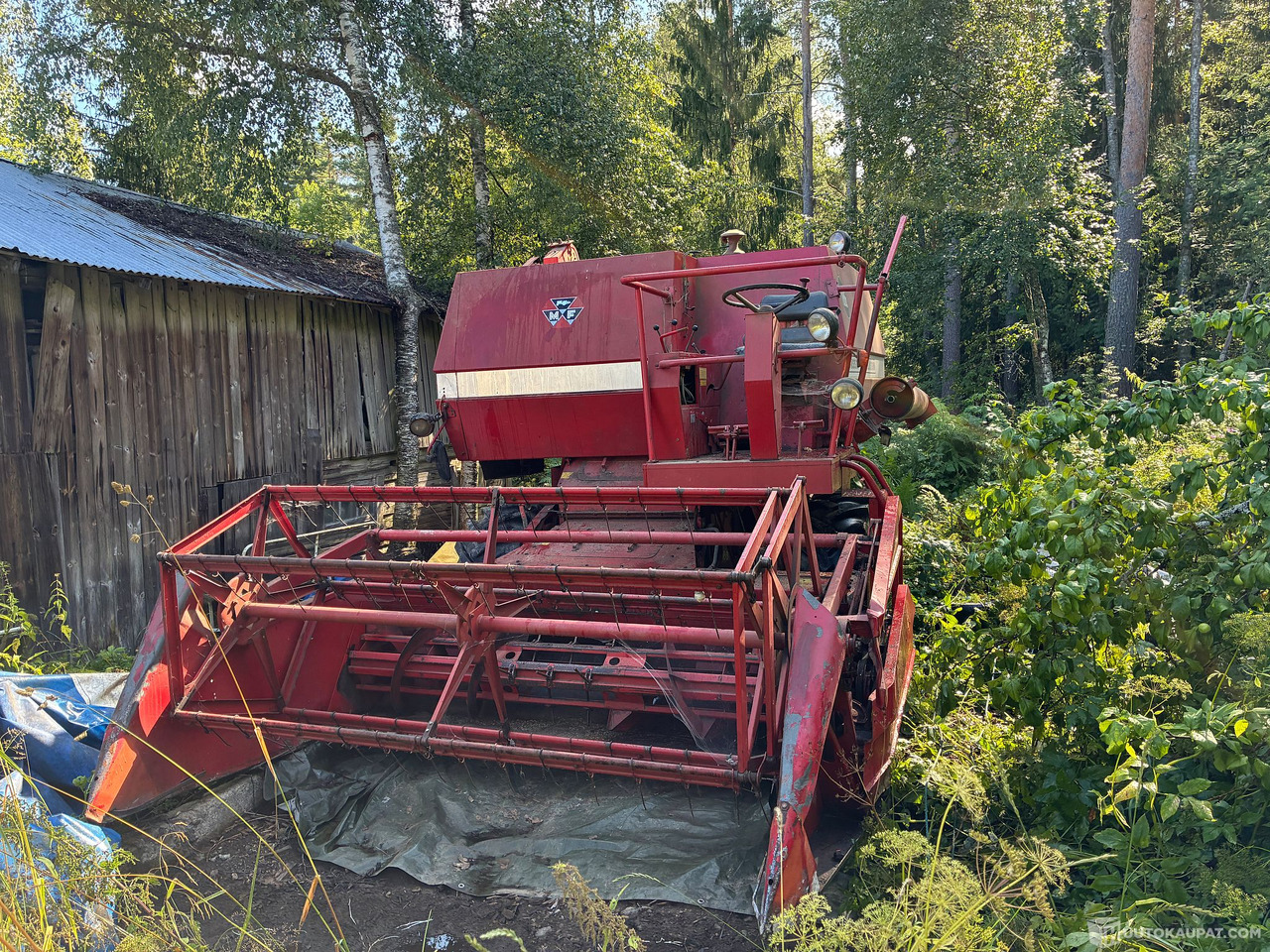 Massey Ferguson 186 Leikkuupuimuri, Kangasala - Landbouwmachine: afbeelding 4 Massey Ferguson 186 Leikkuupuimuri, Kangasala - Landbouwmachine: afbeelding 4