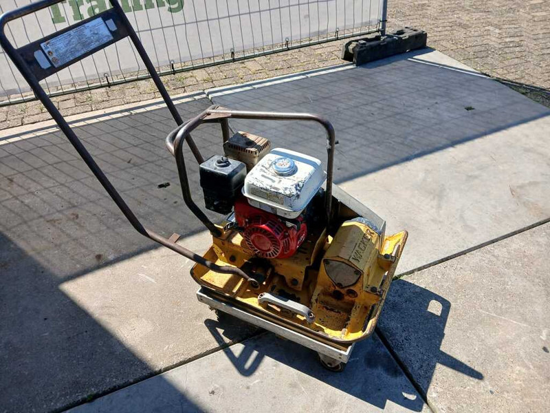 Wacker WPR 1350 - Trilplaat: afbeelding 1 Wacker WPR 1350 - Trilplaat: afbeelding 1