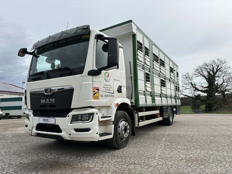 MAN M 90 15.290 TGM - Veewagen vrachtwagen: afbeelding 3 MAN M 90 15.290 TGM - Veewagen vrachtwagen: afbeelding 3