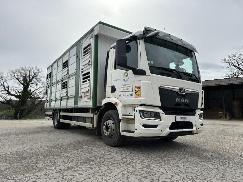 MAN M 90 15.290 TGM - Veewagen vrachtwagen: afbeelding 4 MAN M 90 15.290 TGM - Veewagen vrachtwagen: afbeelding 4