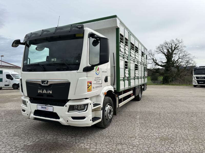 MAN TGM 15.290 - Veewagen vrachtwagen: afbeelding 1 MAN TGM 15.290 - Veewagen vrachtwagen: afbeelding 1