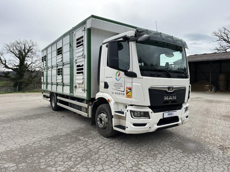 MAN TGM 15.290 - Veewagen vrachtwagen: afbeelding 2 MAN TGM 15.290 - Veewagen vrachtwagen: afbeelding 2