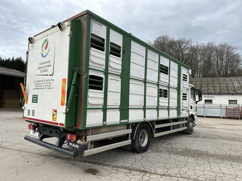 MAN TGM 15.290 - Veewagen vrachtwagen: afbeelding 5 MAN TGM 15.290 - Veewagen vrachtwagen: afbeelding 5