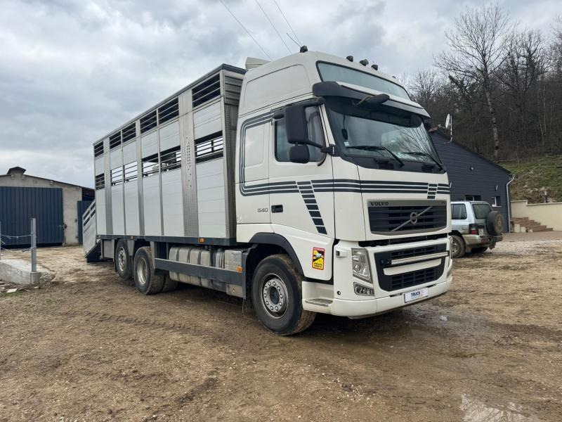 Volvo FH 540 - Veewagen vrachtwagen: afbeelding 2 Volvo FH 540 - Veewagen vrachtwagen: afbeelding 2