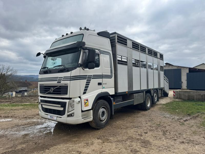 Volvo FH 540 - Veewagen vrachtwagen: afbeelding 1 Volvo FH 540 - Veewagen vrachtwagen: afbeelding 1