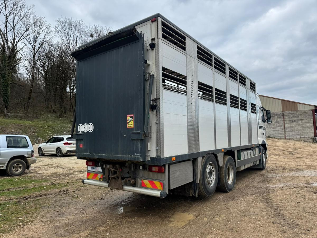 Volvo FH 540 - Veewagen vrachtwagen: afbeelding 5 Volvo FH 540 - Veewagen vrachtwagen: afbeelding 5