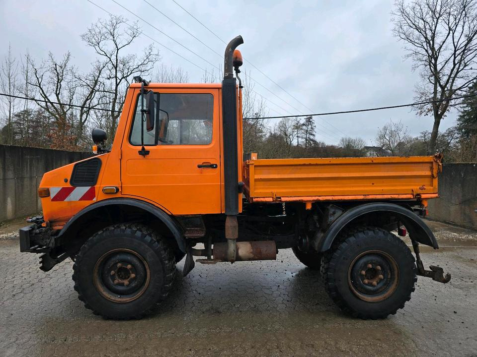 Unimog U1400 Agrar bj. 1995 424 427/10 Mercedes-Benz 1400 1600 1200 1000 - Kipper vrachtwagen, Gemeentelijke machine/ Speciaal: afbeelding 5 Unimog U1400 Agrar bj. 1995 424 427/10 Mercedes-Benz 1400 1600 1200 1000 - Kipper vrachtwagen, Gemeentelijke machine/ Speciaal: afbeelding 5