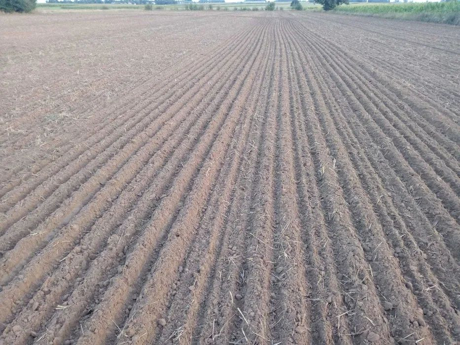 Lemken Karat 9/500 agregat bezorkowy - Grondbewerking toebehoor: afbeelding 2 Lemken Karat 9/500 agregat bezorkowy - Grondbewerking toebehoor: afbeelding 2