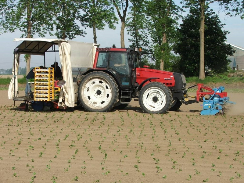 Valtra Valmet Zuidberg Fronthef - Tractor: afbeelding 4 Valtra Valmet Zuidberg Fronthef - Tractor: afbeelding 4