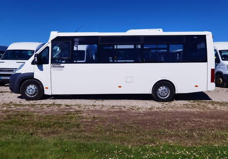 Fiat Ducato miejski, przewóz osób niepełnosprawnych - Stadsbus: afbeelding 5 Fiat Ducato miejski, przewóz osób niepełnosprawnych - Stadsbus: afbeelding 5