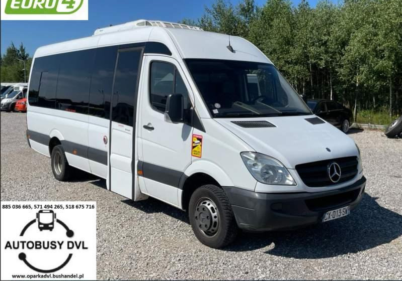 Mercedes-Benz Sprinter 2008 - Minibus, Personenvervoer: afbeelding 1 Mercedes-Benz Sprinter 2008 - Minibus, Personenvervoer: afbeelding 1