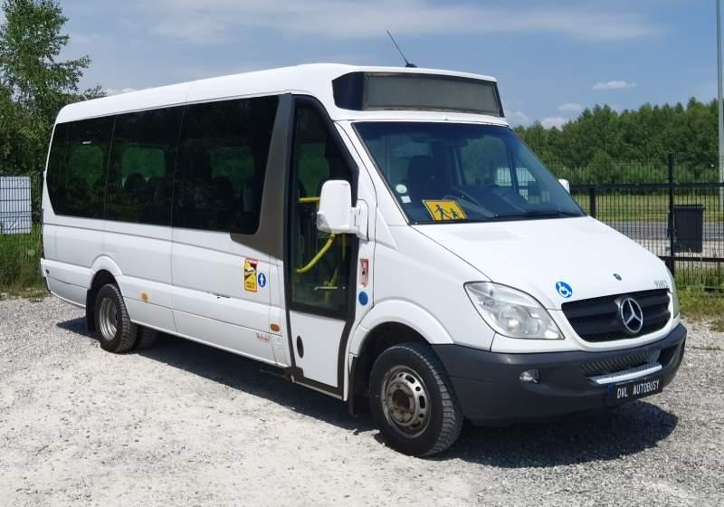 Mercedes-Benz Sprinter *klima*webasto* - Streekbus: afbeelding 1 Mercedes-Benz Sprinter *klima*webasto* - Streekbus: afbeelding 1