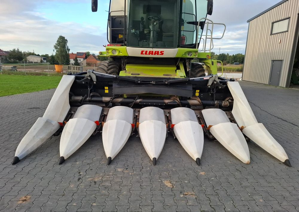 Maiskolvenplukker Oros Cornado 6 rzędowy , 2014 rok, Nie Malowany, Stan Bardzo Dobry: afbeelding 12