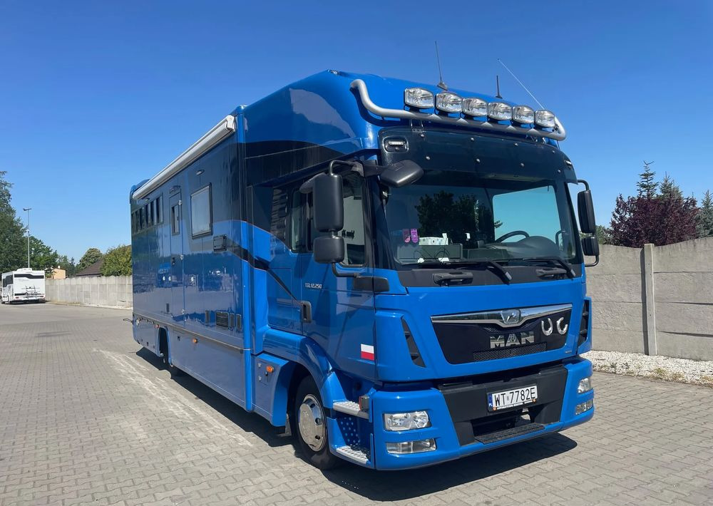 MAN TGL 12.250/ KONIOWÓZ- ROELOFSEN/ 4 KONIE/ - Paardenvrachtwagen: afbeelding 2 MAN TGL 12.250/ KONIOWÓZ- ROELOFSEN/ 4 KONIE/ - Paardenvrachtwagen: afbeelding 2